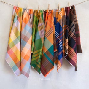 Puede incluir: Una colección de cuadrados de tela a cuadros de colores colgados de un tendedero. Las telas presentan una variedad de colores, incluyendo naranja, verde, azul y marrón. La palabra "FABLEISM" está impresa en la parte inferior.