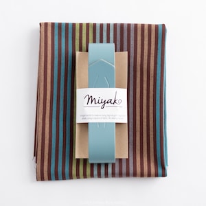 Furoshiki Bag Kit with Cabana Stripes in Lemon Grass & Robin&#39;s Egg Handle