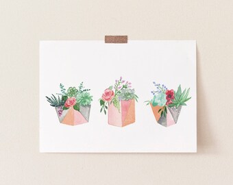 3 Pink Planters