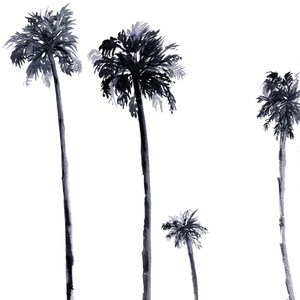 Black Palms image 2