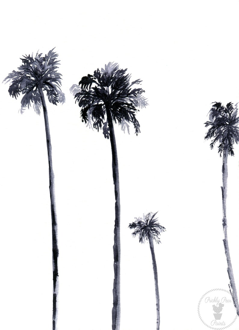 Black Palms image 2