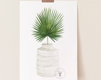 Fan Palm