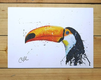 High quality wildlife art print: Tom the Toucan a3 print
