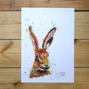 High quality limited edition print of Harry the hare