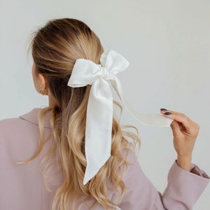 Silk Hair Bow Tie