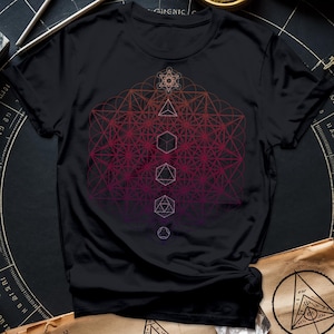 Op de afbeelding: Zwart T-shirt met een geometrisch ontwerp in tinten rood en roze. Het ontwerp bestaat uit overlappende cirkels, vierkanten en driehoeken, die een complex en ingewikkeld patroon creëren.