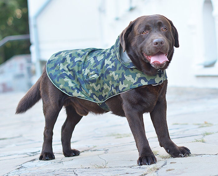 Labrador Rain Coat Etsy