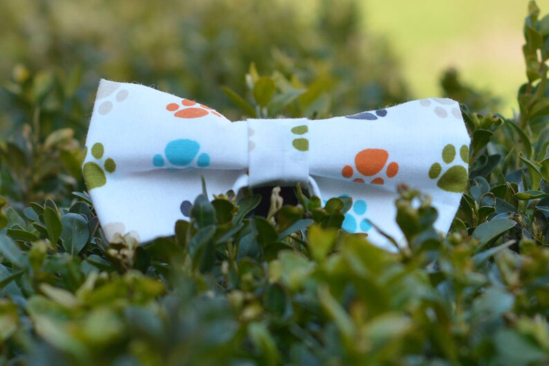 Paw print bow tie for collar Etsy
