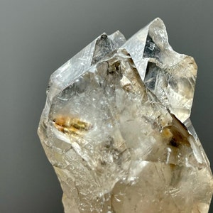 Pure Perfection RAW Elestial Jacaré Alligator Smokey Quartz Crystal | Micro Rainbows Water Clear Smoky Gem Stone | Starseed Protection Gift