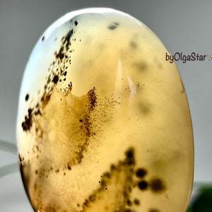 Spectacular Dendritic Agate Semi Translucent Stone Of Plenitude | Nature Perfect Branch Like Dendrites | Abundance Grounding Spiritual Gift