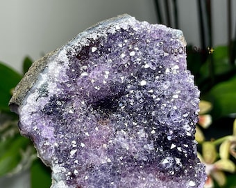 Insanely Beautiful And Magic Amethyst Crystal Cluster Geode | Purple Metaphysical Raw Stone Gemstone | Extremely Powerful Protective HOME OM