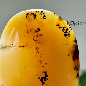 Spectacular Dendritic Agate Part Translucent Nature Stone Of Plenitude | Branch Like Dendrites Motif | Abundance Grounding Amulet Charm Gift