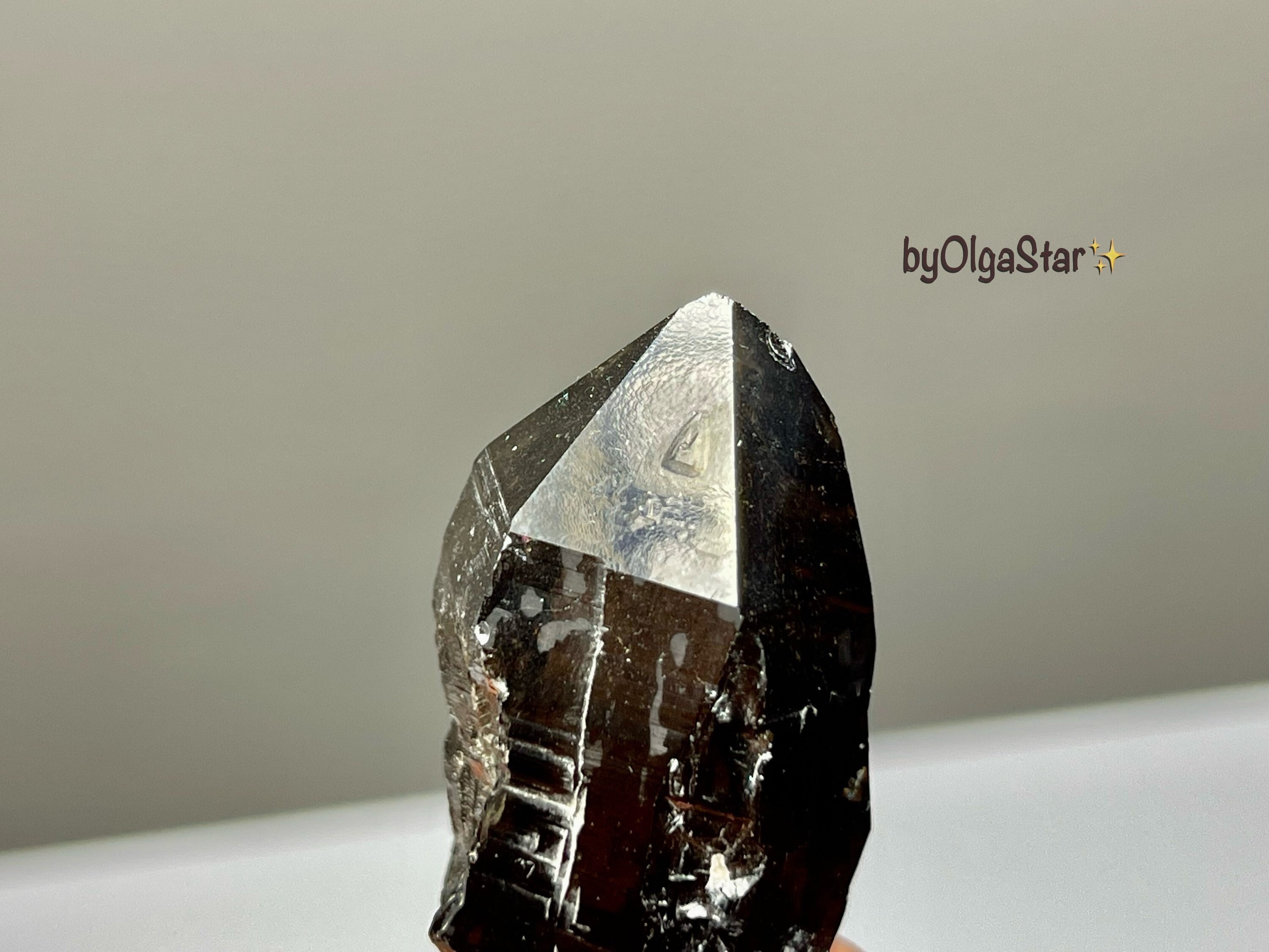 no.111 黒南風のダルメシアンと雨粒クリスタル Natural Morion Black LEMURIAN Quartz Crystal Gem Potent Raw Record