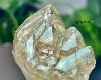 Unique Elestial Smoky Quartz with Inclusions for Starseed Spiritual Growth Cosmic Connection | Divine Energy High Vibration Crystal Lodolite