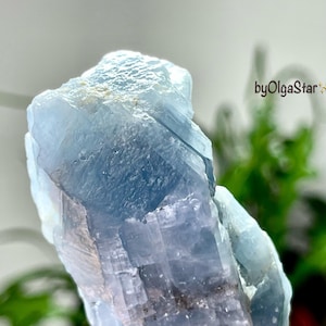 Puede incluir: Primer plano de una formación de cristal azul claro. El cristal tiene una superficie rugosa y texturizada con diferentes tonos de azul y toques de blanco. El fondo está borroso, con follaje verde y el texto "byOlgaStar".