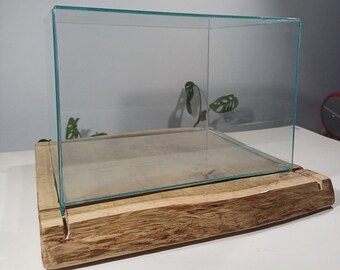 Handmade glass terrarium container 'slavonik'