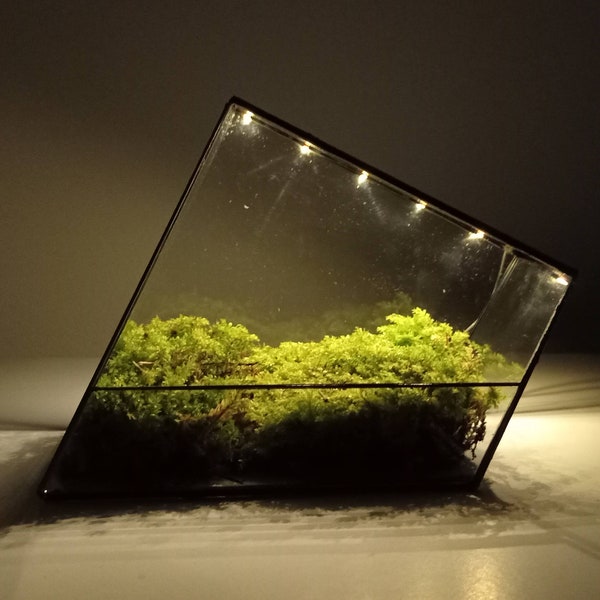 TERRAFORM handmade glass terrarium container 'zero_lux'