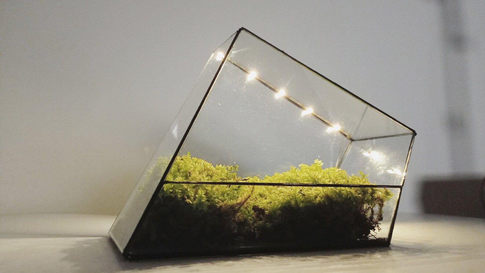 Handmade Waterproof Glass Terrarium Container 'zero' Etsy