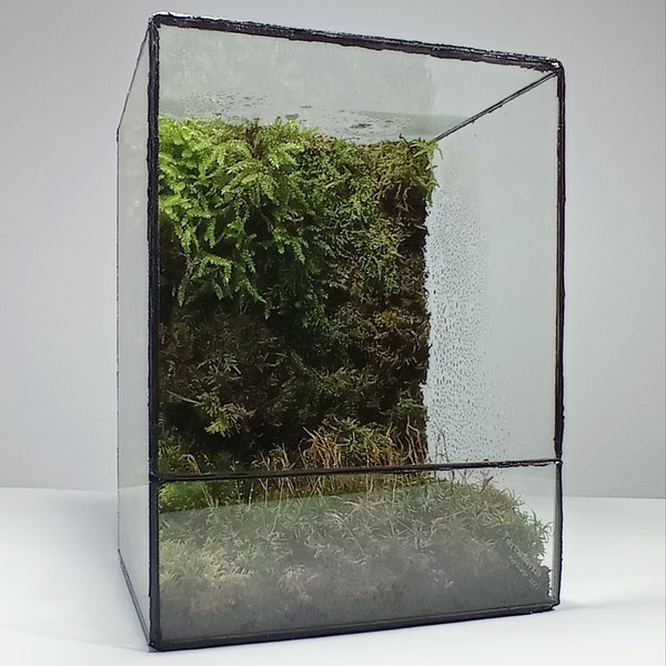 Handgefertigter Terrarienbehälter aus Glas