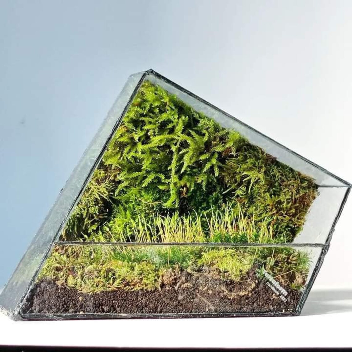 Handmade Waterproof Glass Terrarium Container 'zero' Etsy