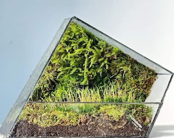 Handmade waterproof glass terrarium container 'zero'
