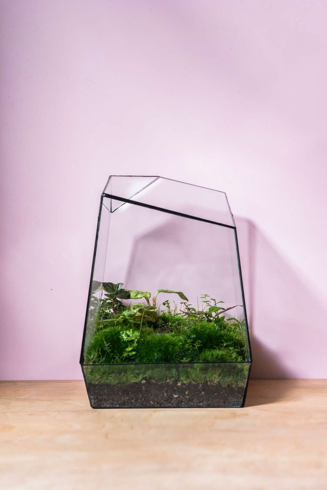 Handmade Glass Terrarium Container With Black Silicone 'black_knight