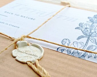 DIY Terrarium Kit ( Basic ) diy kit booklet moss plant pebbles charcoal spray bottle gift poison ivy coffee plant