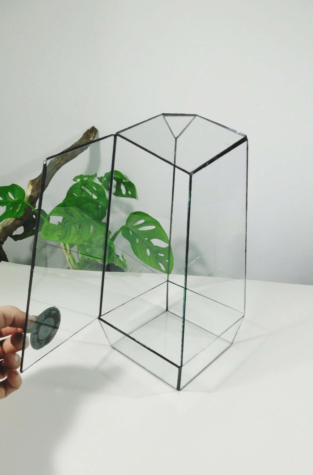 Handmade Glass Terrarium Container With Black Silicone Etsy