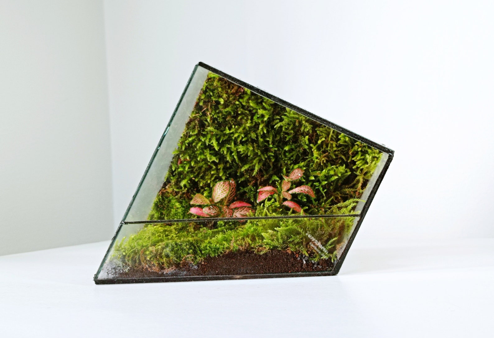 Handmade Waterproof Glass Terrarium Container 'zero' Etsy