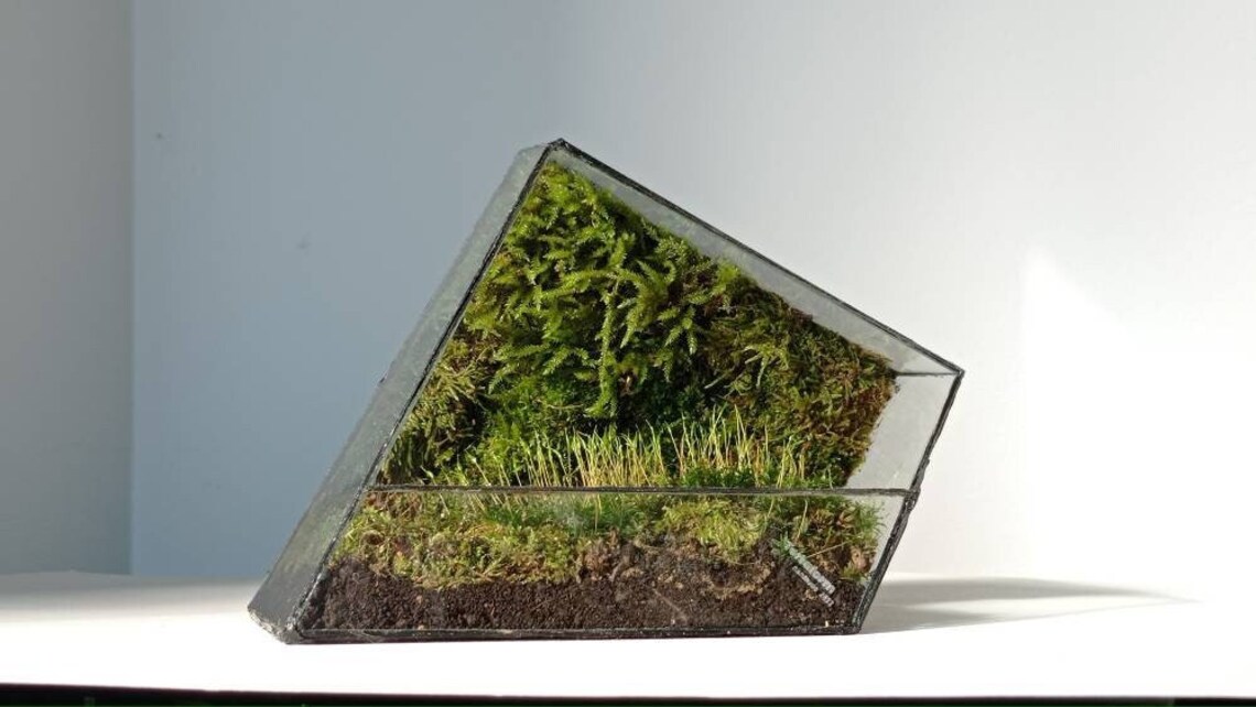 Handmade Waterproof Glass Terrarium Container 'zero' Etsy