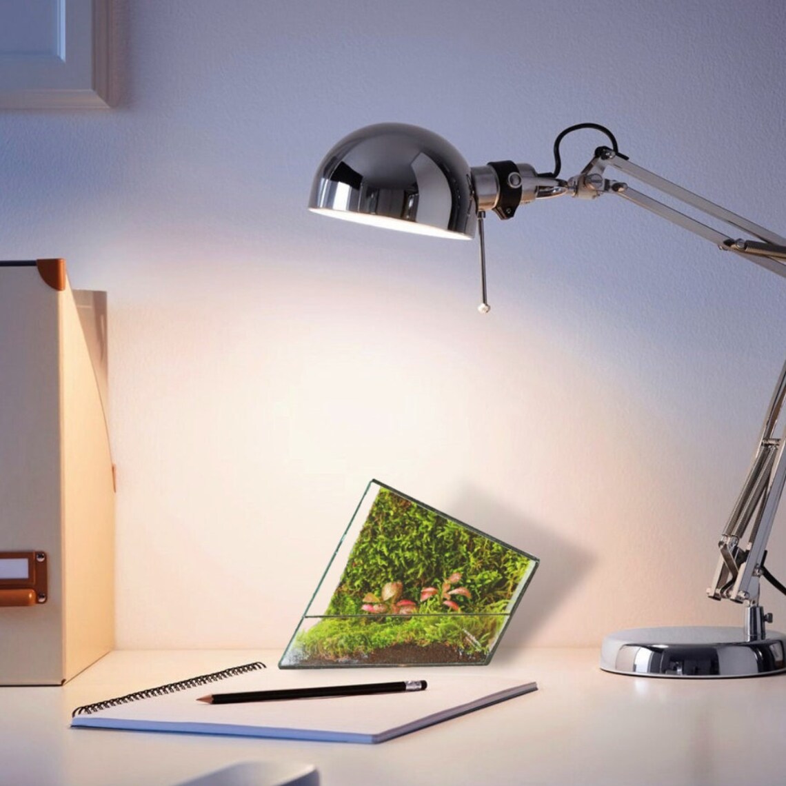 Handmade Waterproof Glass Terrarium Container 'zero' Etsy