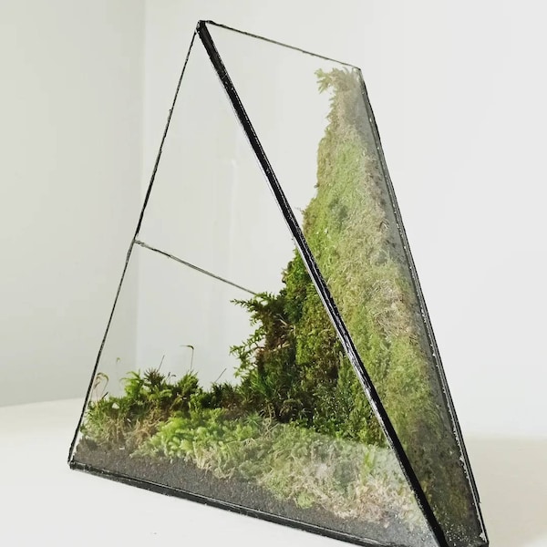 Handmade waterproof glass terrarium container 'triangle'