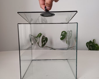 Handmade glass terrarium container 'box'
