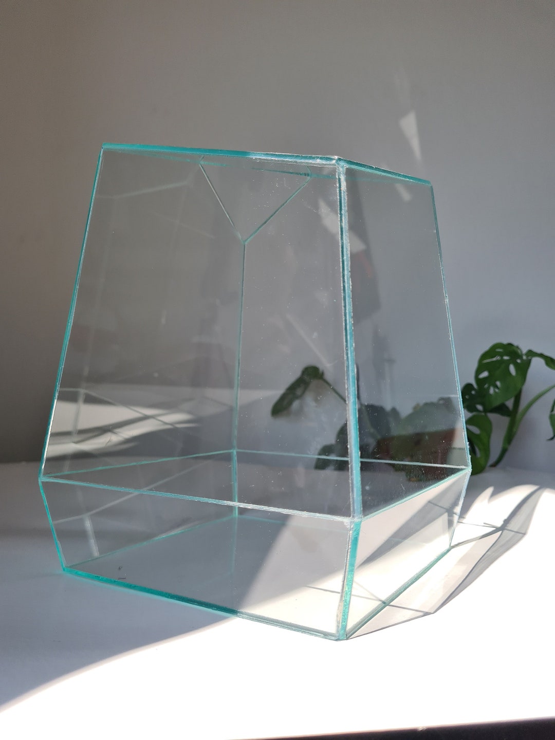 Handmade Glass Terrarium Container With Transparent Silicone Etsy
