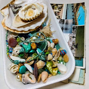 May include: A selection of seashells, beads, and decorative items in a white tray. The collection features diverse shell types, colourful beads, and a turquoise bracelet. Postcards are visible in the background.