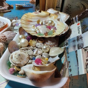 Puede incluir: Una colección de conchas marinas, perlas y cuentas decorativas dispuestas en una bandeja de espuma blanca y dentro de una concha grande. El arreglo incluye perlas de varios tamaños y colores, vidrio de mar y pequeños botones decorativos. Postales y libros en el fondo.