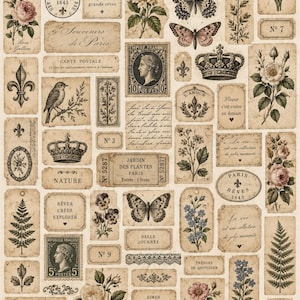 Puede incluir: Un collage de efímeros de papel de estilo vintage con ilustraciones botánicas de rosas, helechos y flores silvestres, junto a sellos franceses, mariposas, coronas, símbolos de flor de lis y texto manuscrito sobre papel envejecido de color crema.
