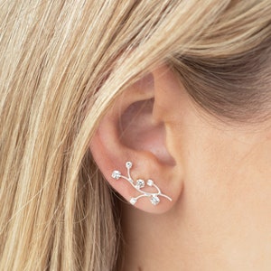 May include: Silver ear cuff with a delicate branch design featuring small clear crystals.