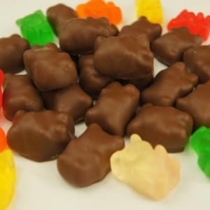 Chocolate Covered Gummy Bears-1 Lb -Great for Kids Parties-Snacks