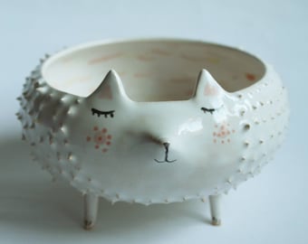 Handcrafted Willow the Hedgehog Ceramic Bowl & Planter – Illustrated Animal Pottery Gift