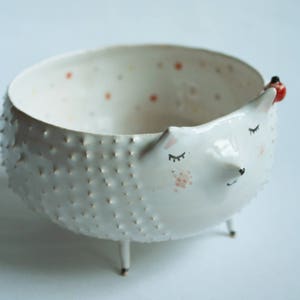 Willow the Hedgehog hedgehog ceramic bowl, planter image 2