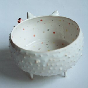 Willow the Hedgehog hedgehog ceramic bowl, planter image 3