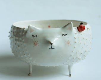 Hand-Painted Hedgehog Ceramic Planter – Illustrated Animal Bowl