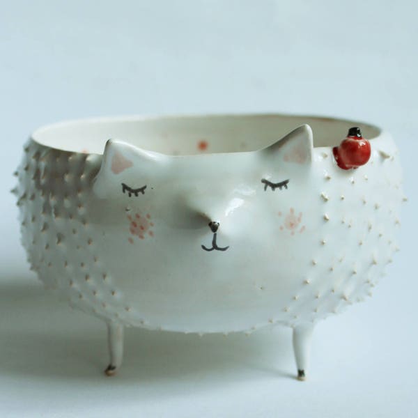 Willow the Hedgehog - hedgehog ceramic bowl, planter