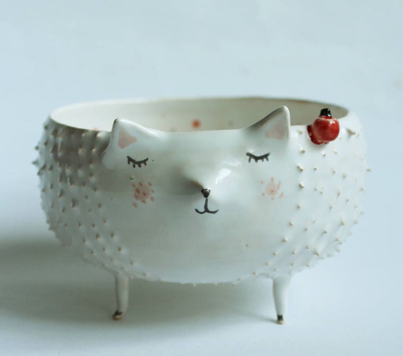 Willow the Hedgehog hedgehog ceramic bowl, planter image 1