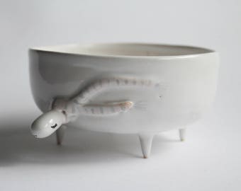 Handmade Filbert the Turtle Ceramic Bowl – Illustrated Turtle Planter & Trinket Dish