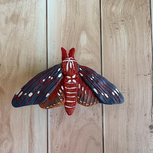 Regal Moth Hair Clips