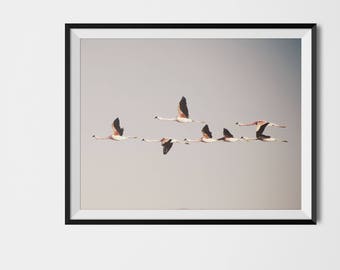 Flamingos Art Print, Flock of Birds Art, Pink Grey Art Print,  Flying Birds Art Print, Modern Art Trend, Wall Decor, Printable Art Poster