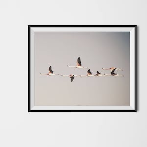 Flamingos Art Print, Flock of Birds Art, Pink Grey Art Print,  Flying Birds Art Print, Modern Art Trend, Wall Decor, Printable Art Poster