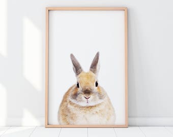 Rabbit Art Print, Neutral Nursery Prints, Animal Wall Art, Baby Room Art, Baby Gift, Animal Set of Prints, Nursery Gallery Wall, Bunny Art